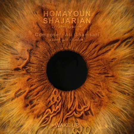 Homayoun Shajarian – Bidar Sho